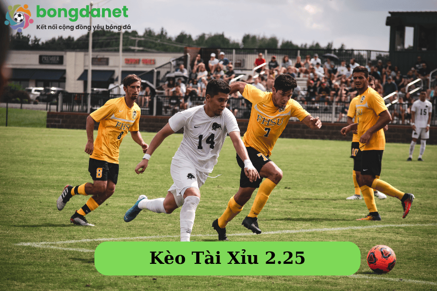 keo-tai-xiu-2.25