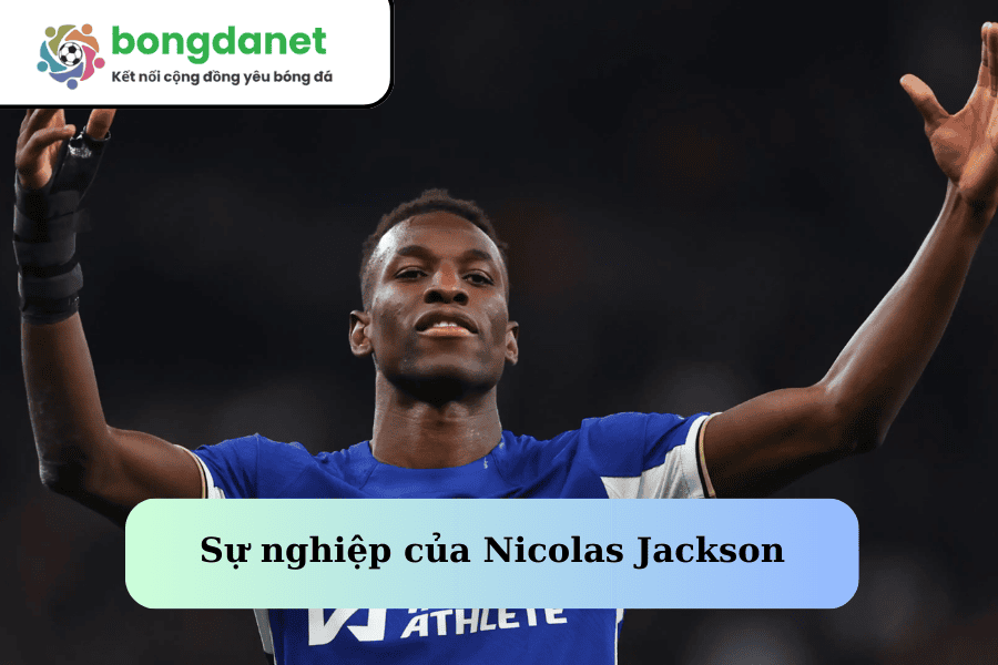 Sự nghiệp của Nicolas Jackson 