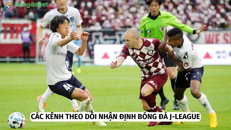 Xem nhận định bóng đá J-League tại các kênh uy tín 